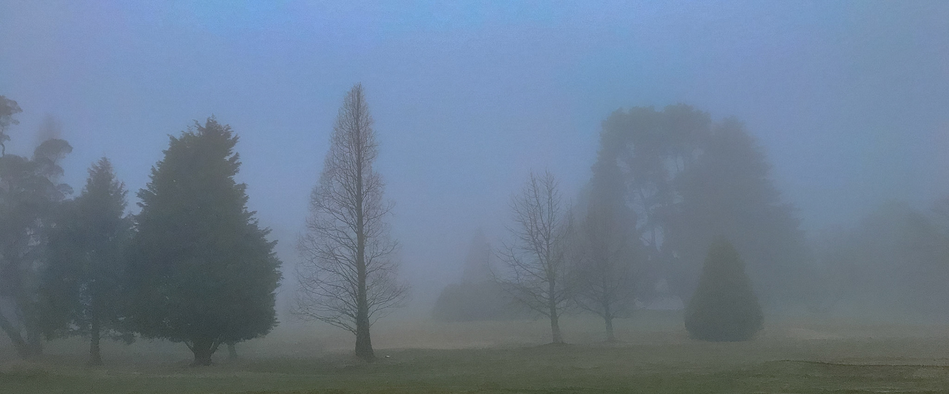 Blackheath Golf Course (BGC)
