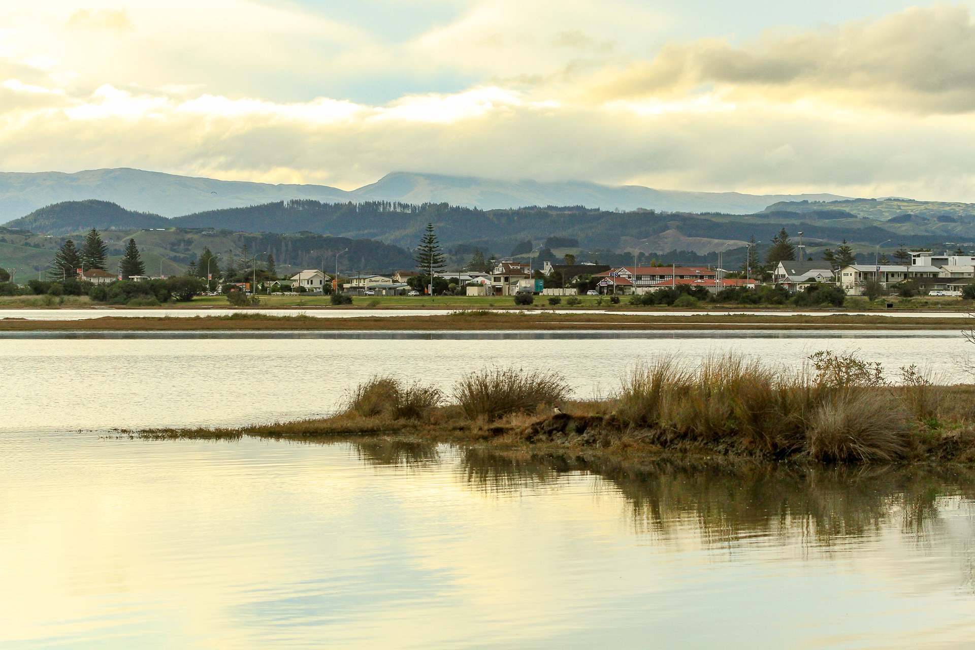 Ahuriri Wetlands