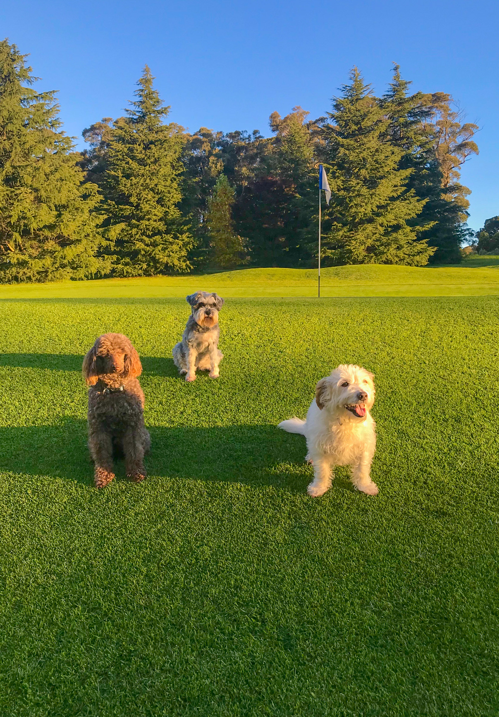 Charlie, Audrey and Jack