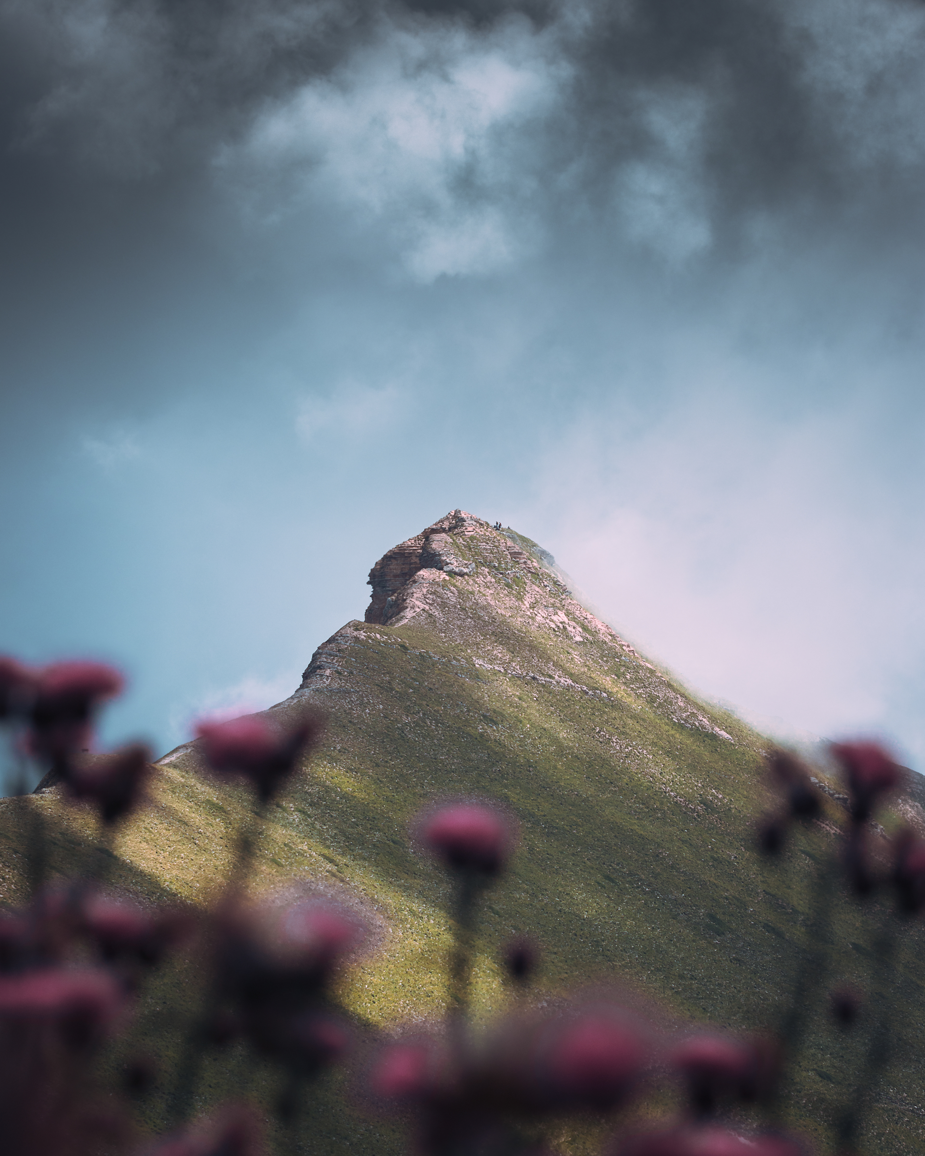 Monte Sibilla - Parco Nazionale dei Monti Sibillini -