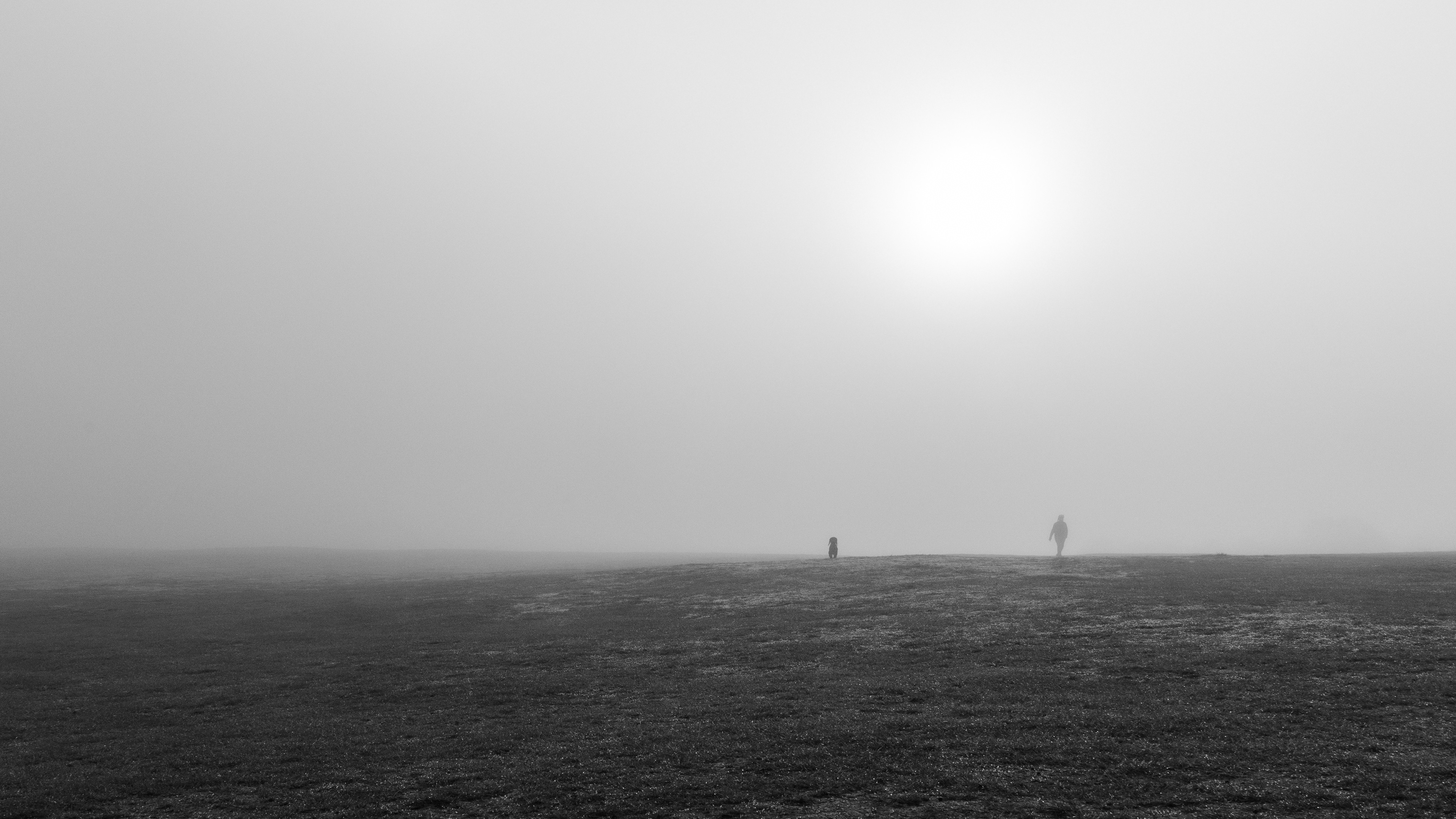 People and Dog Marinus Veit 2018