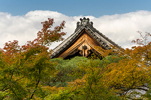 JAPON