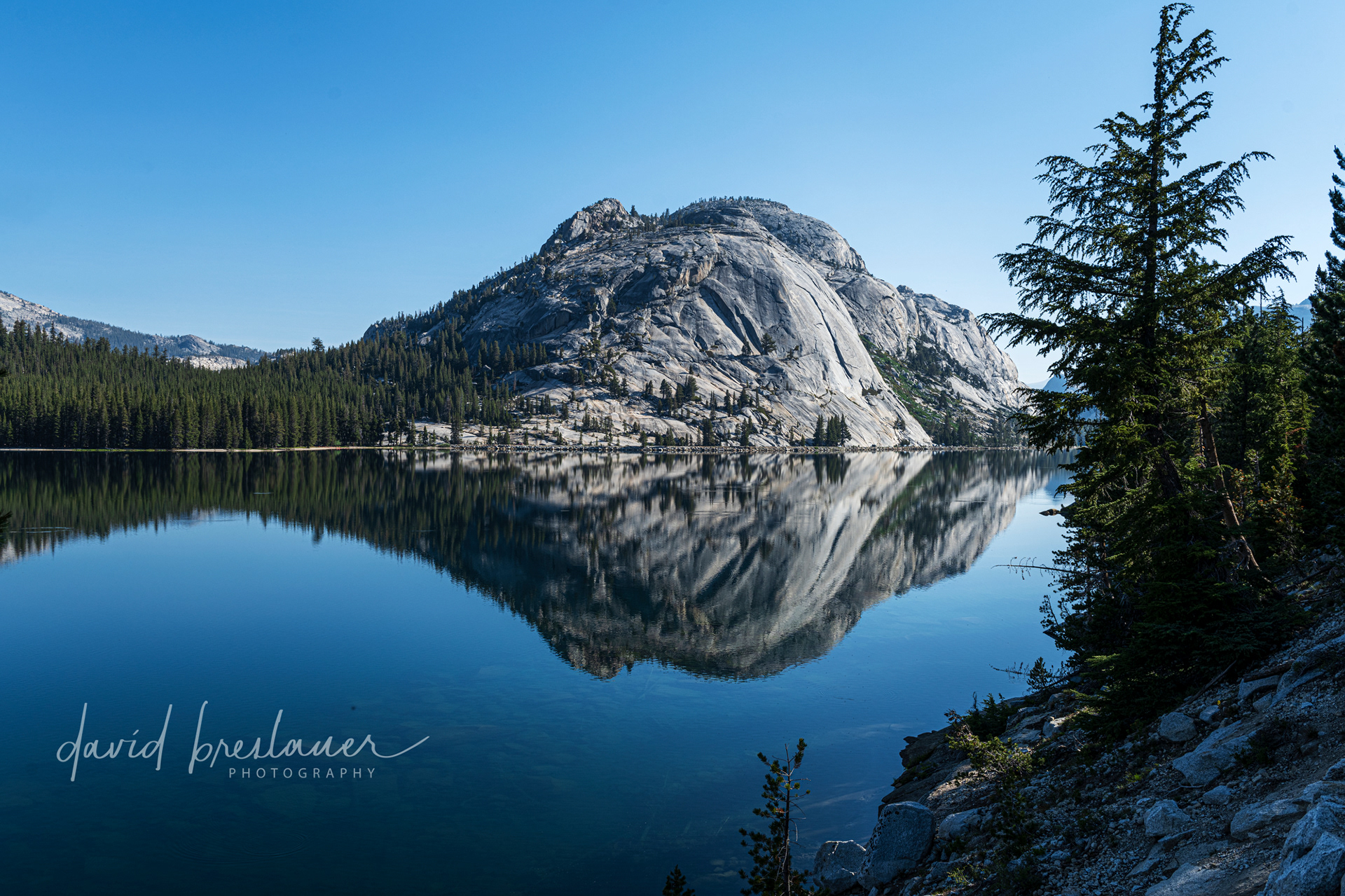 Yosemite National Park