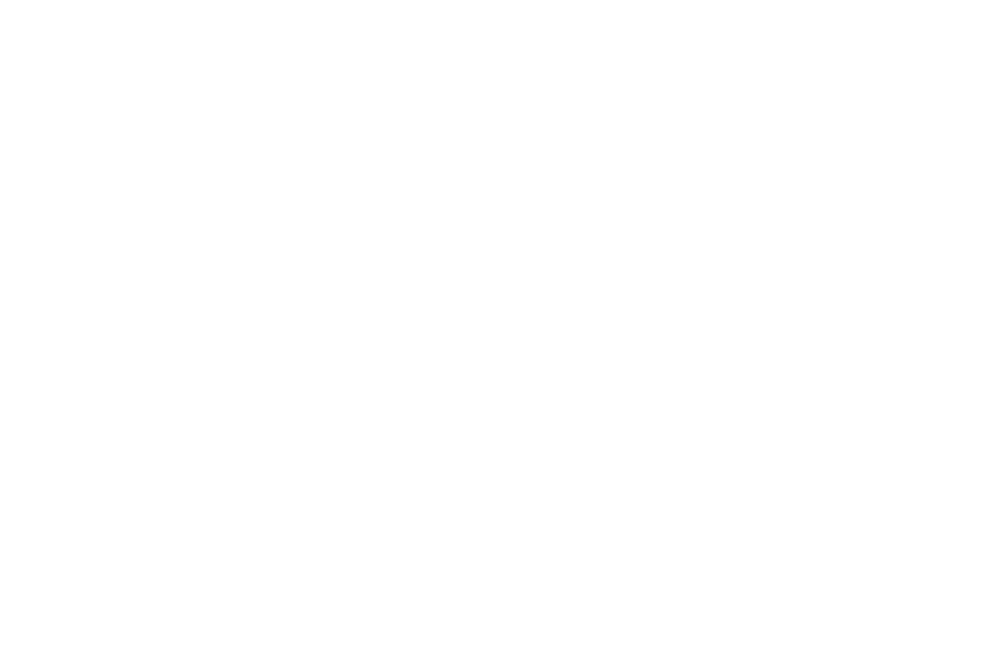 Neculai Deloiu