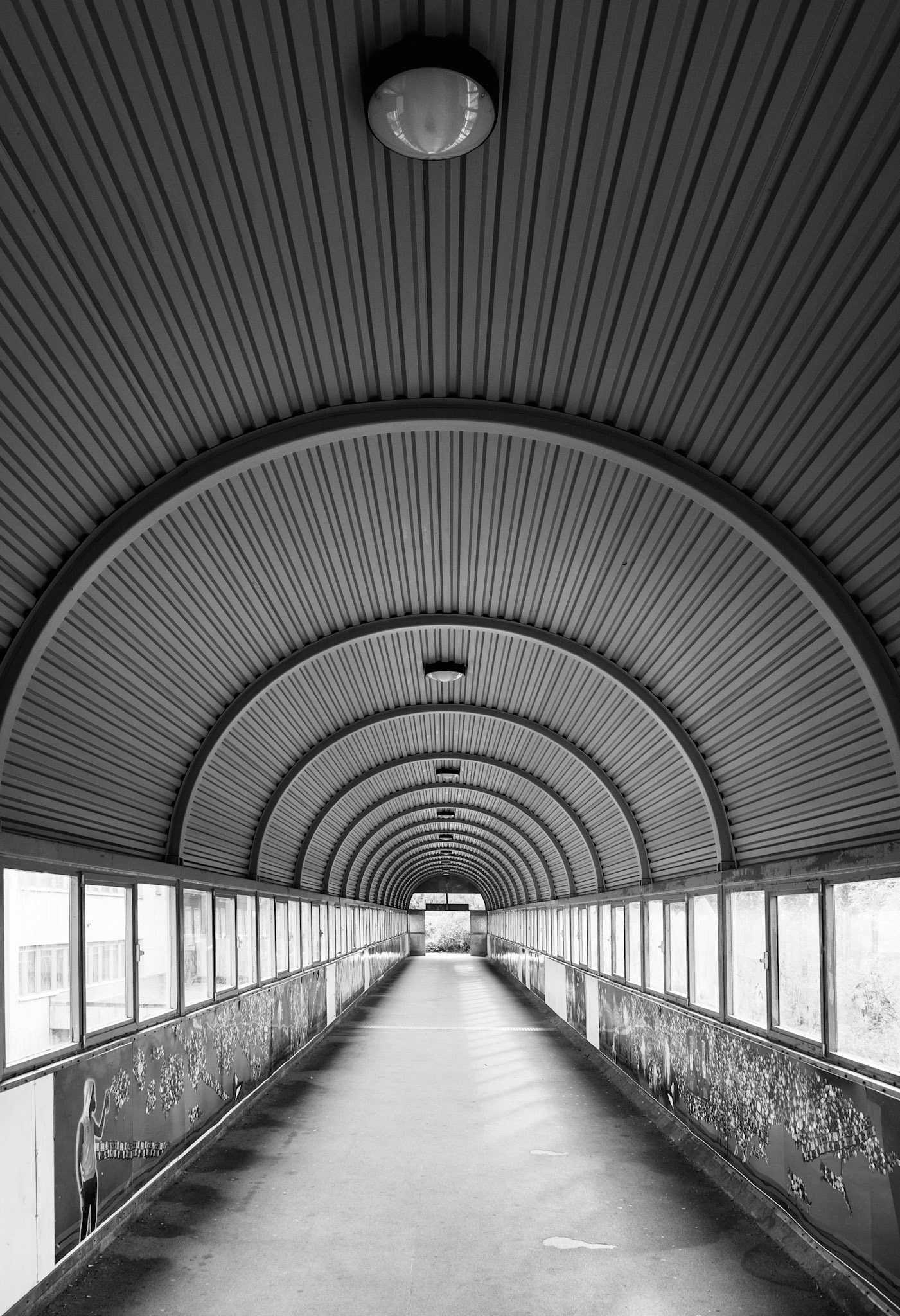 Lines