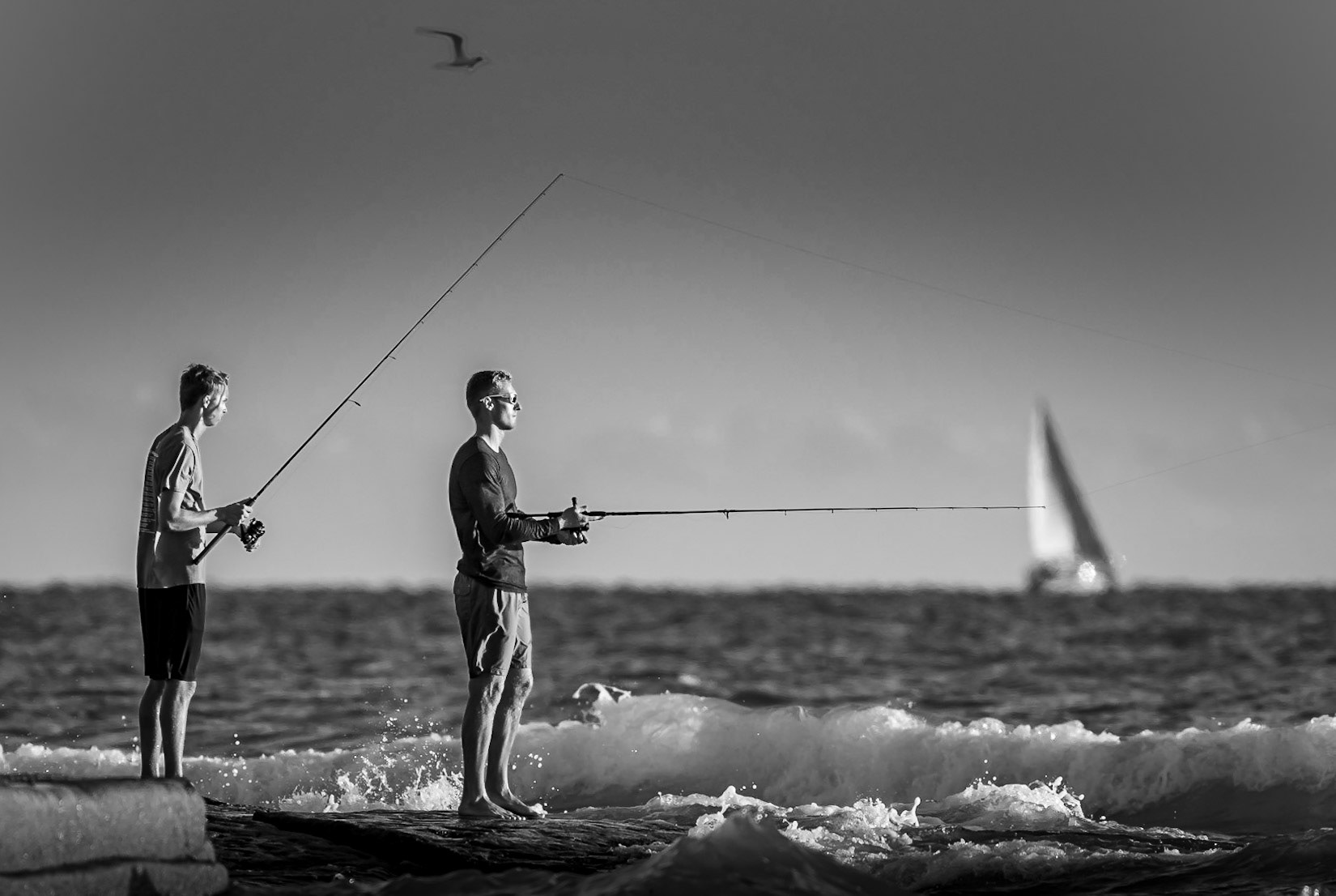 Sailing Soaring & Fishing in the Gulf