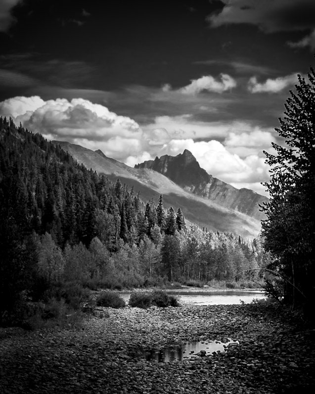 Glacier National Park Vista From The Flathead River