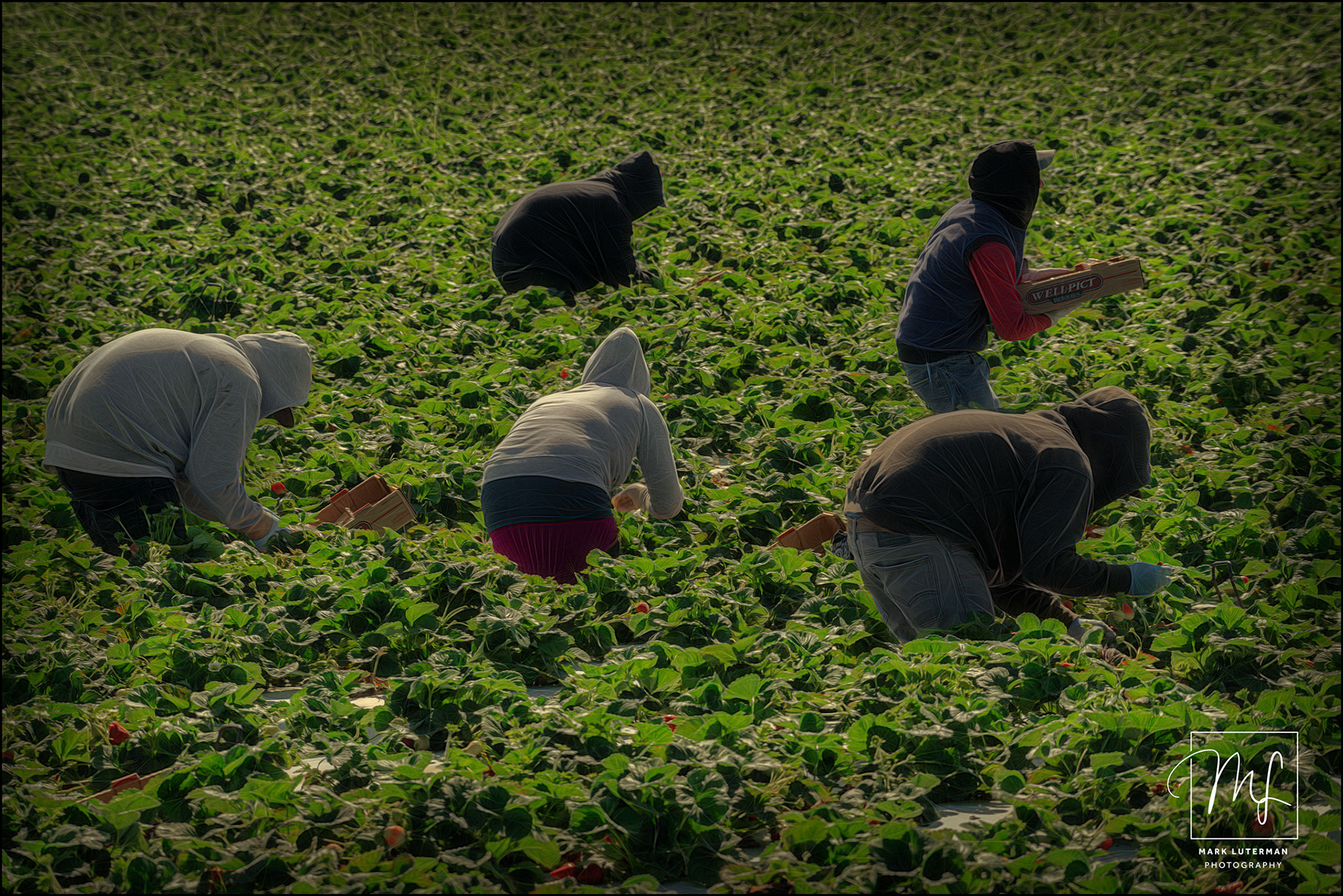 Strawberry Fields Forever