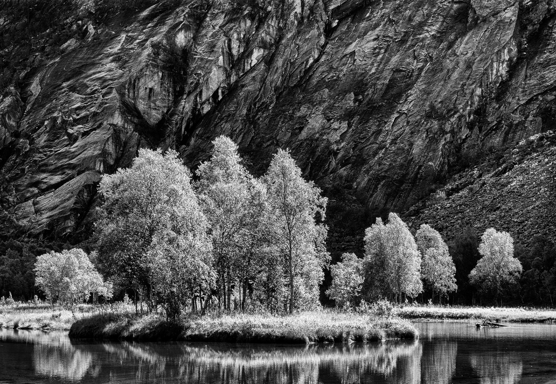 Storskogdalen, Sørfold 2015