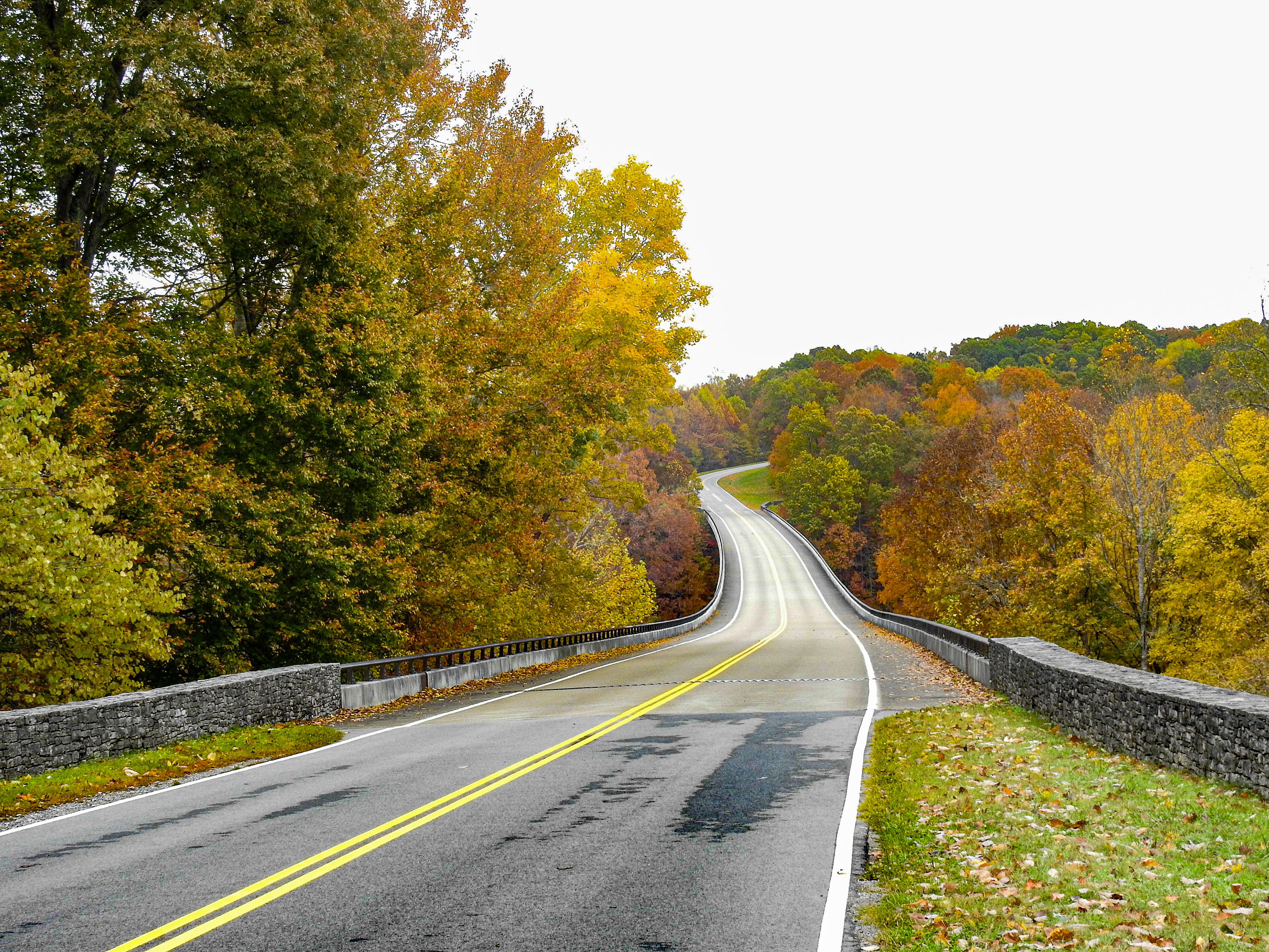 Natchez Trace, Tn