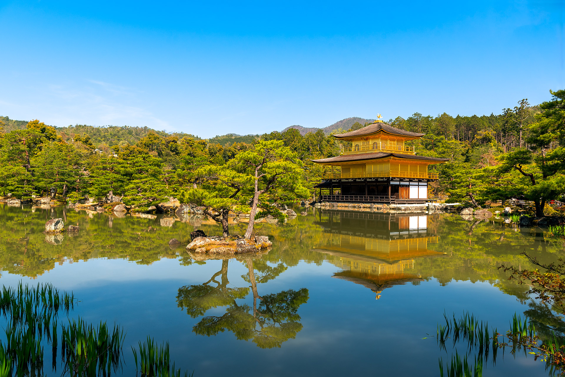 Kinkaku-ji | © All rights reserved