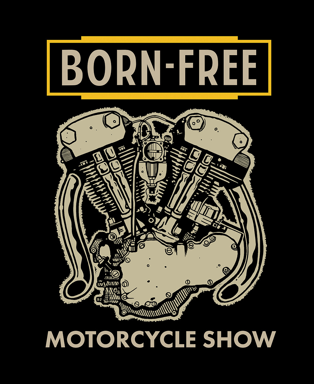 CUSTOM ENGINE SET FOR BORN-FREE / KNUCKLEHEAD