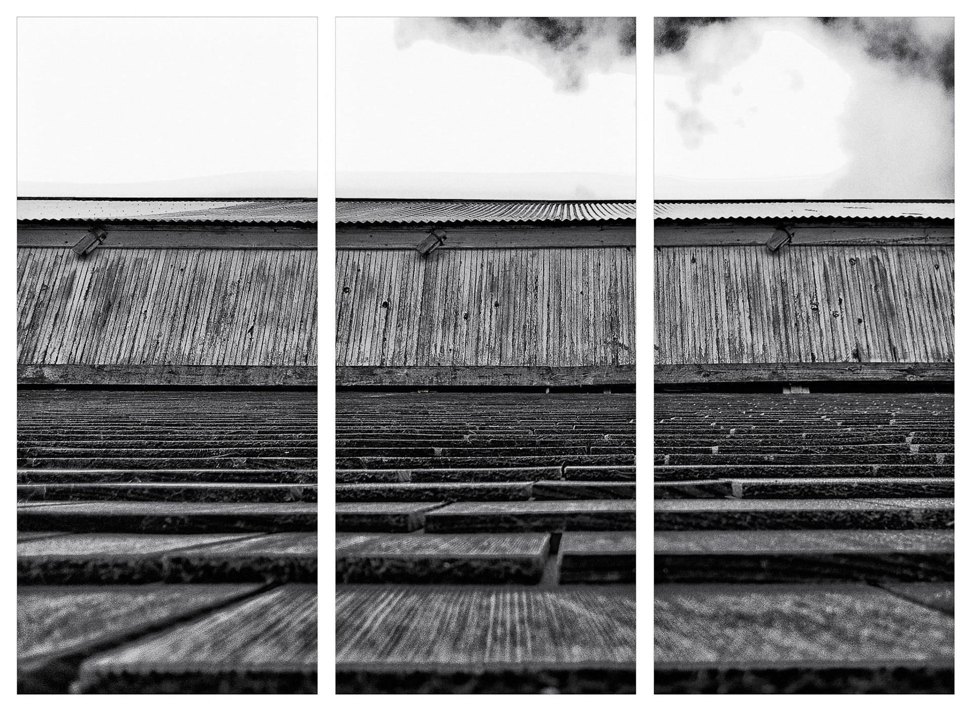 Roof Line - Point Reyes Station - 2012