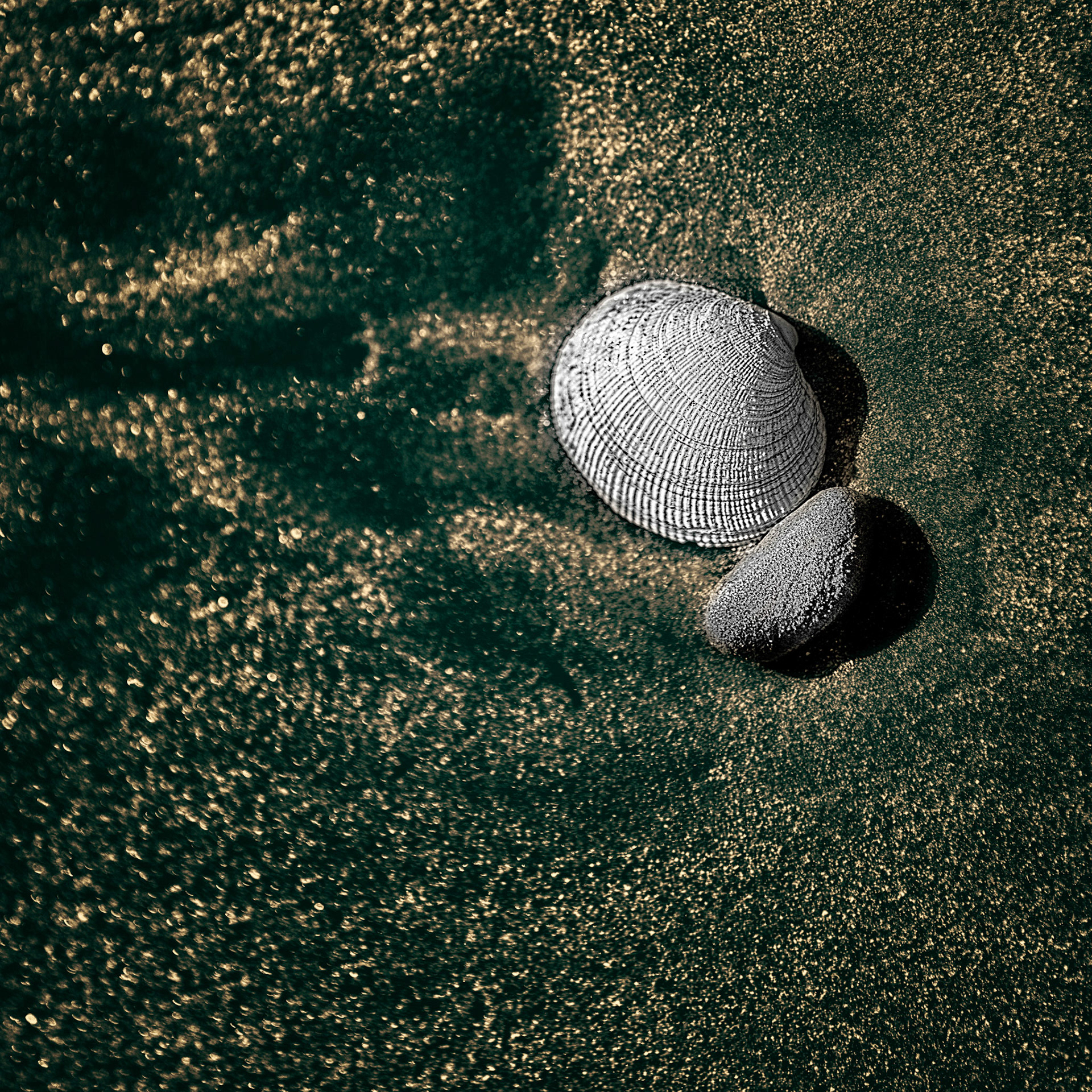 Differences - Half Moon Bay - 2012