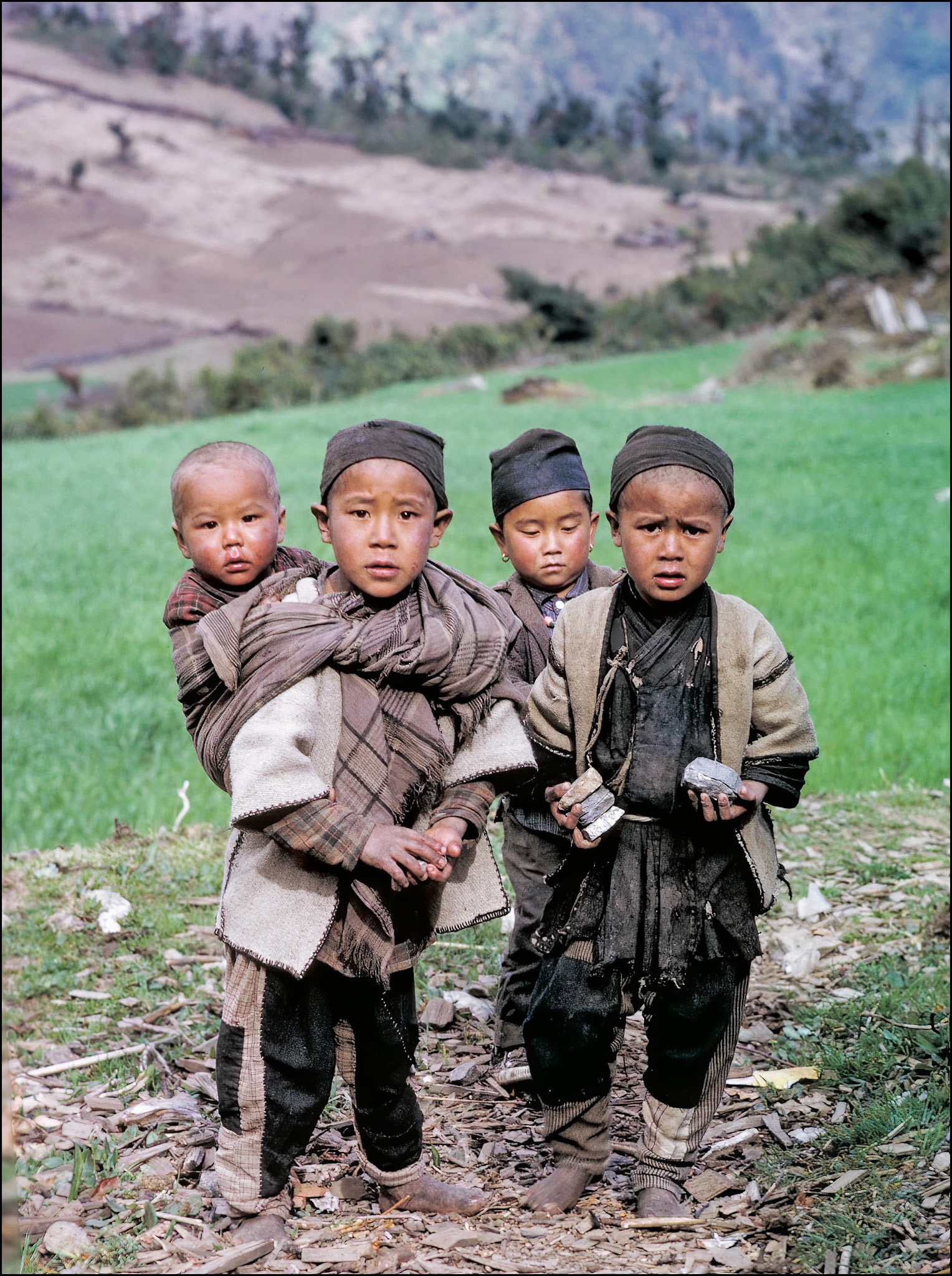 Tsowang Jimi Shangba (61); Sarki Shangba (56); Singi Ghale (296); Karsang Shangba (59)