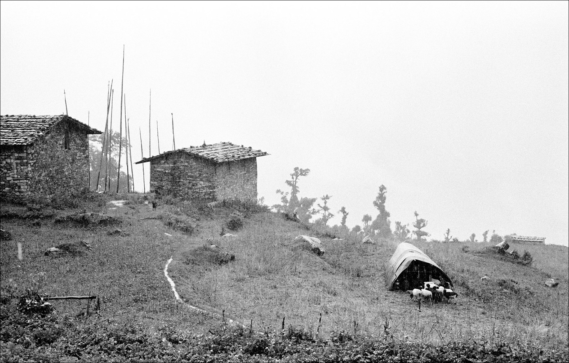 Melemchi Gompa and sheep gode, monsoon 1972