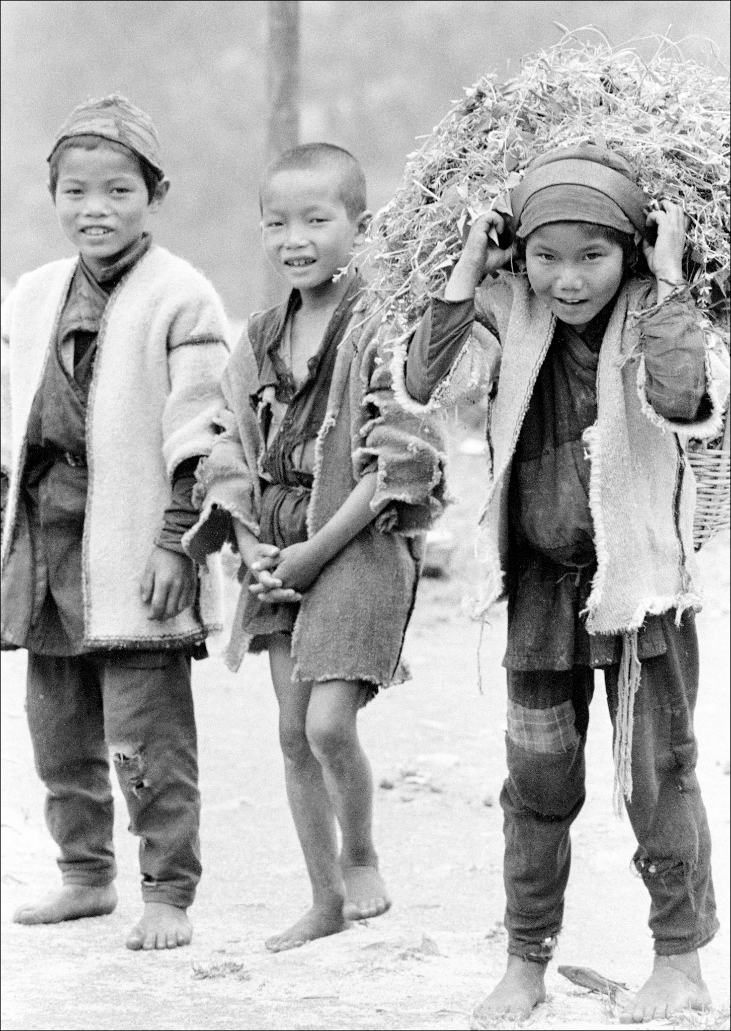 (L-R) son of Kalsong Chiawa (642); Pasang Dorje Shangba (350); Hrenzen Chiawa (306)