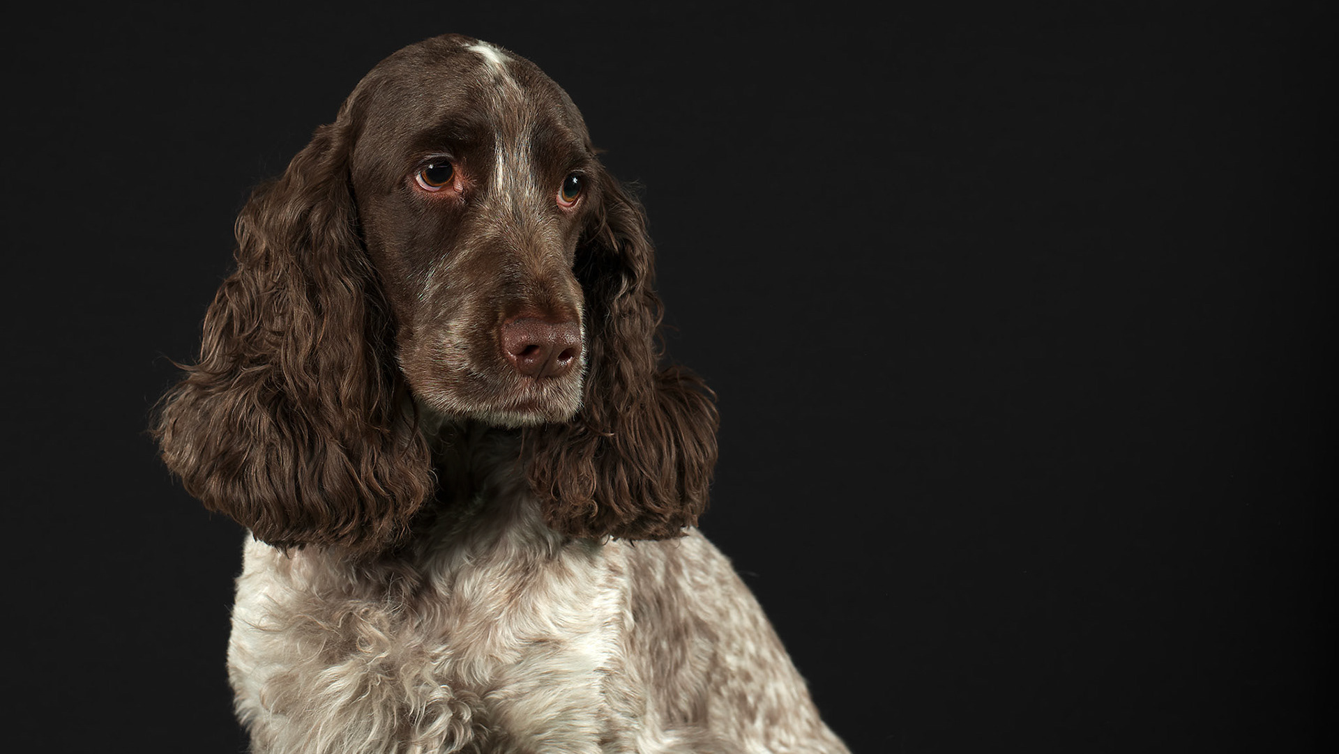 peterschluter.myportfolio.com