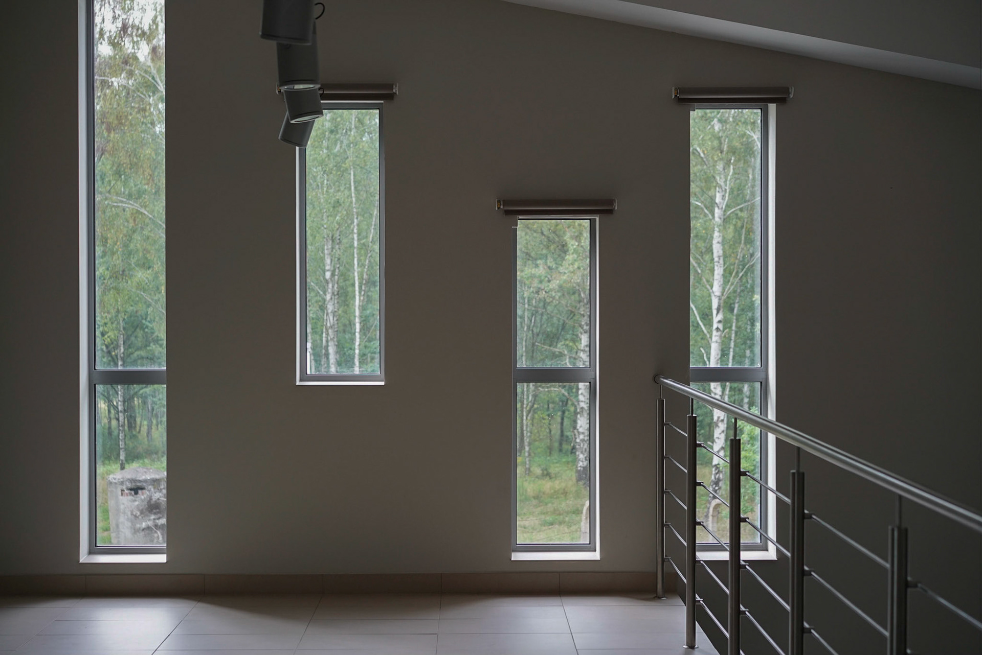 Looking out into the forest of Stalag VIII-A