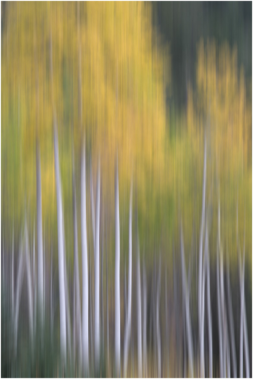 Aspen Impressions, Banff NP