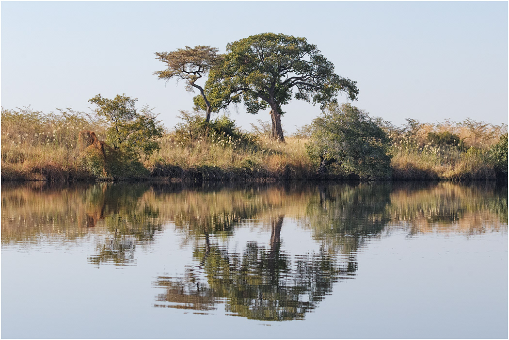 Morning on the Chobe River - Botswana