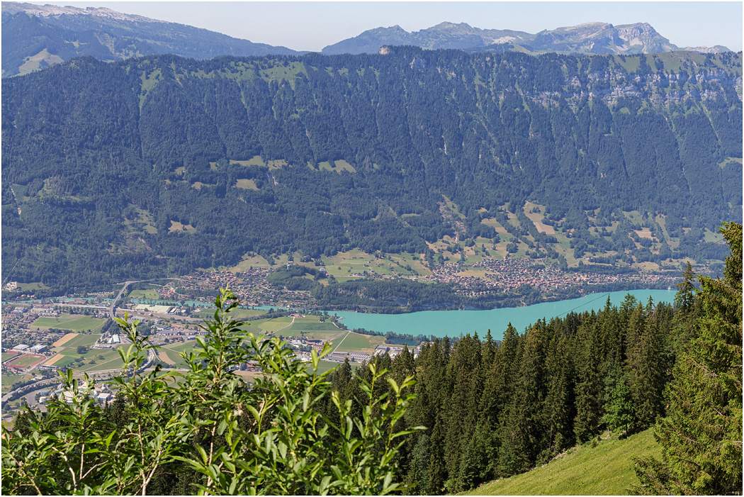 Lake Brienz & Interlaken