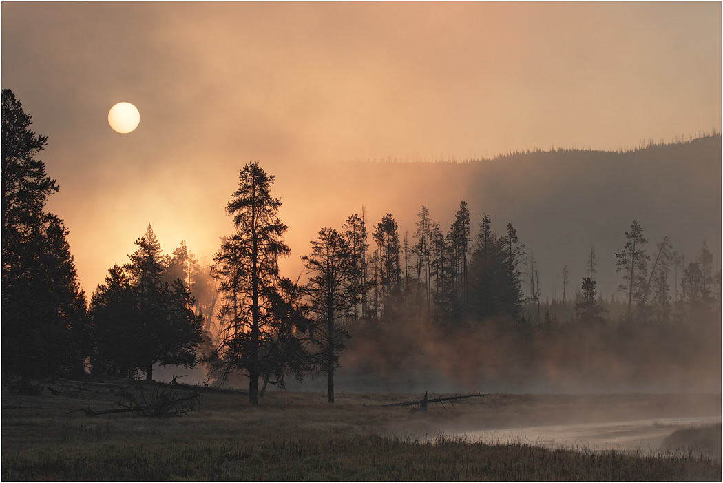 Morning on the Firehole River, Yellowstone NP