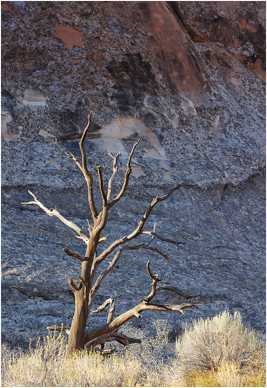 Arches National Park, Utah