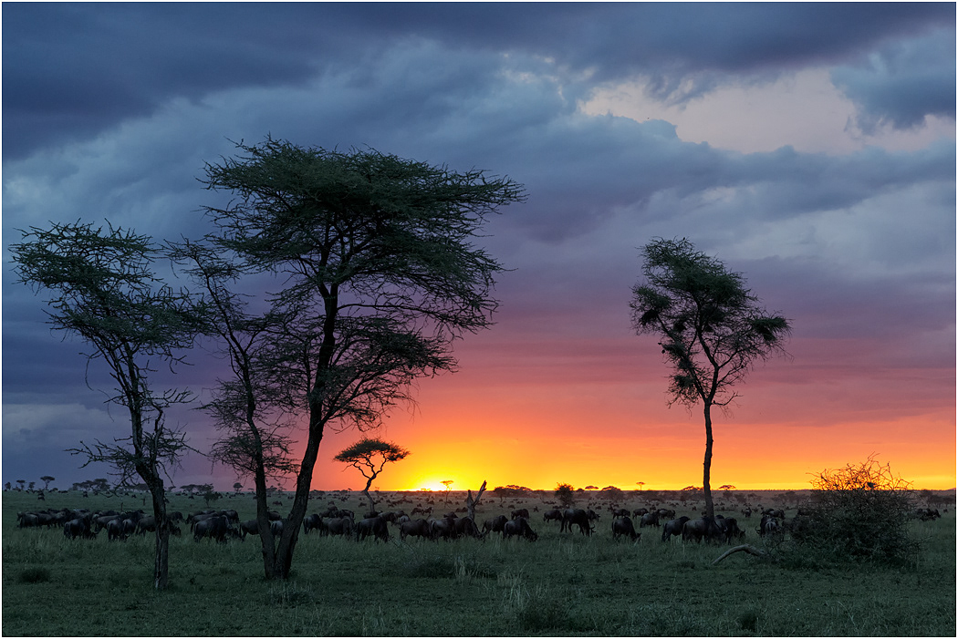 Sunset  - Serengeti, Tanzania