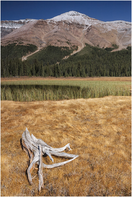 Observation Peak, Icefields Parkway, Banff NP