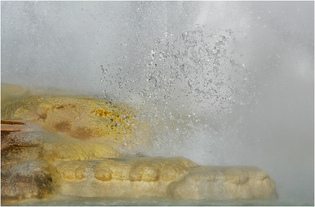 Clepsydra Geyser, Lower Geyser Basin, Yellowstone