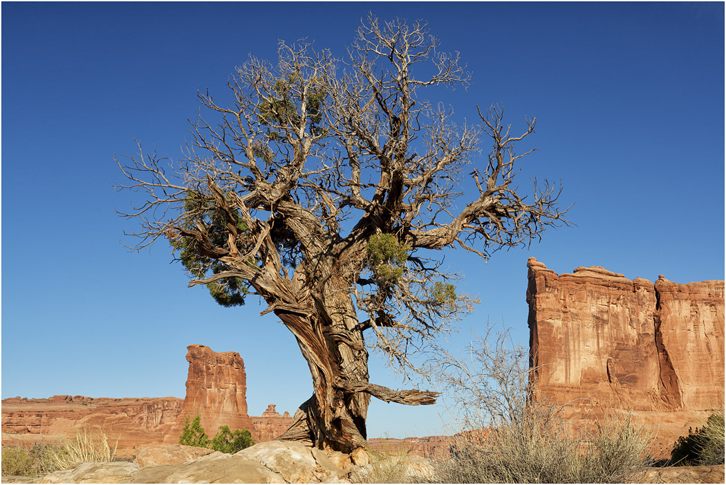 Arches National Park, Utah