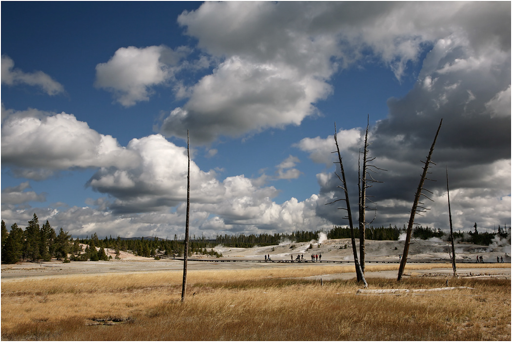 Norris Basin, Yellowstone NP