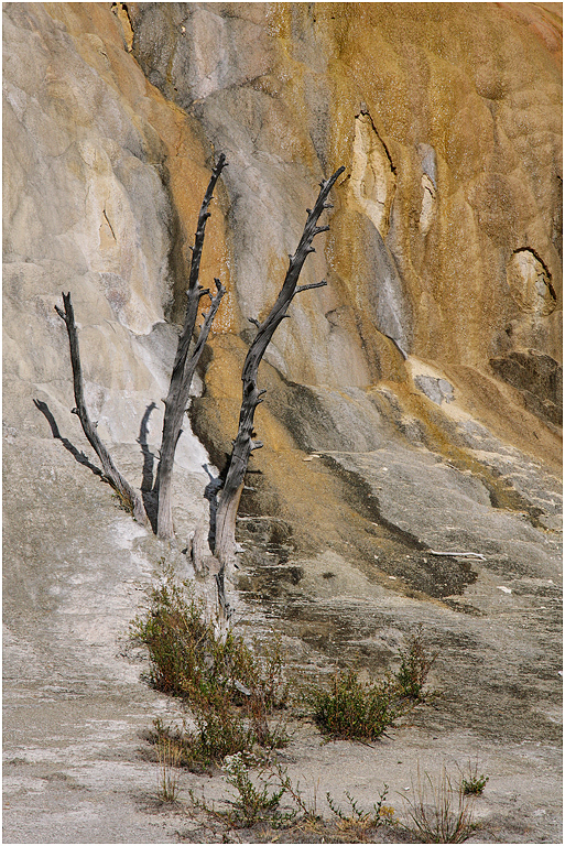 Orange Spring Mound, Mammoth, Yellowstone NP