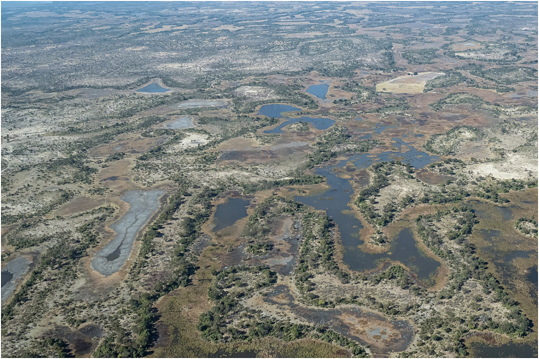 North Western Okavango - Botswana
