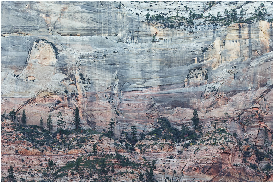 Cliff Face, Zion National Park, Utah