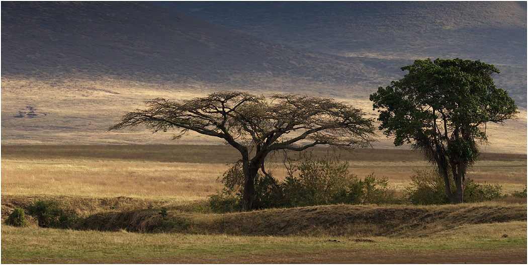 After the storm - Ngorongoro Crater, Tanzania