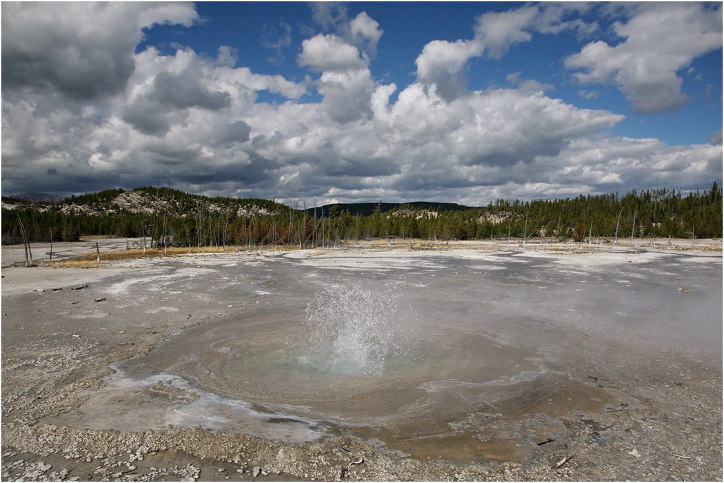 Pearl Geyser active, Norris Basin, Yellowstone