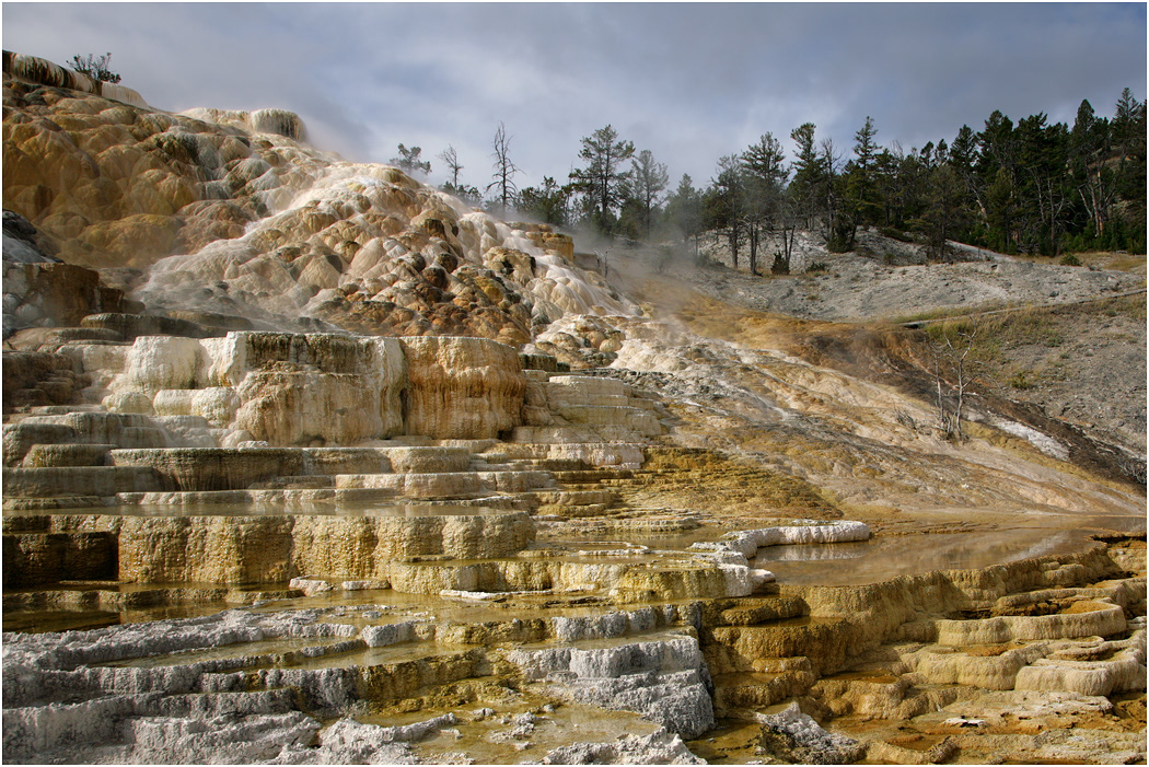 Palette Spring, Mammoth, Yellowstone NP