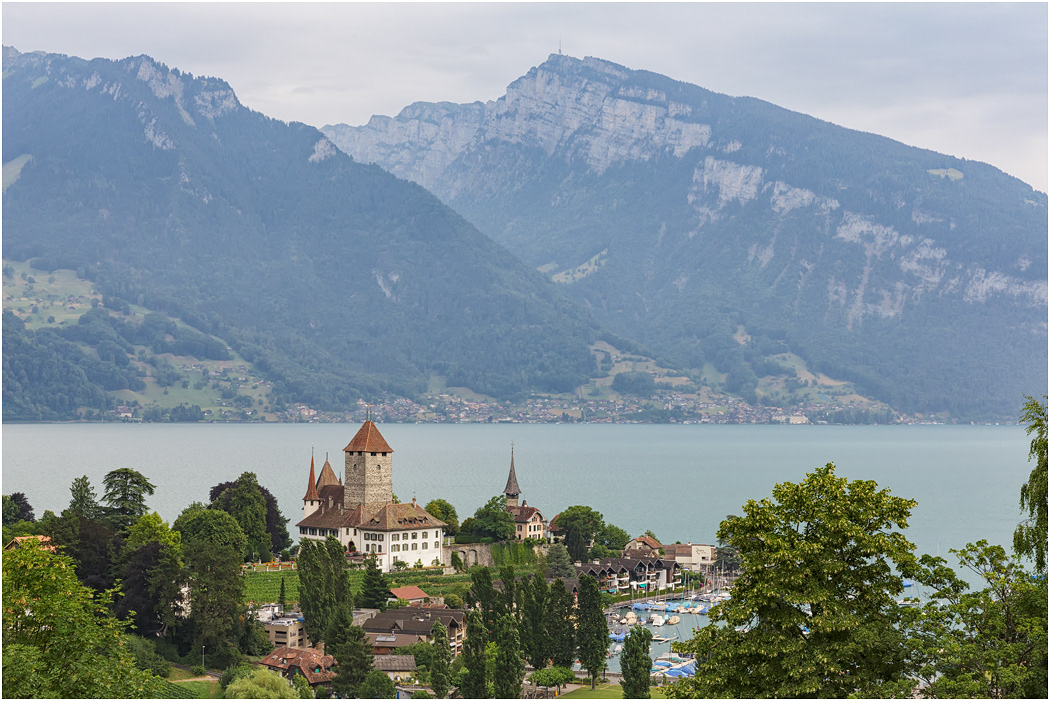 Schloss Speiz and Lake Thun