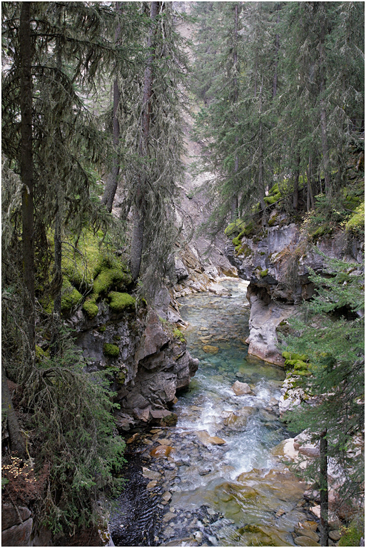 Johnston Canyon, Bow Valley Parkway, Banff NP