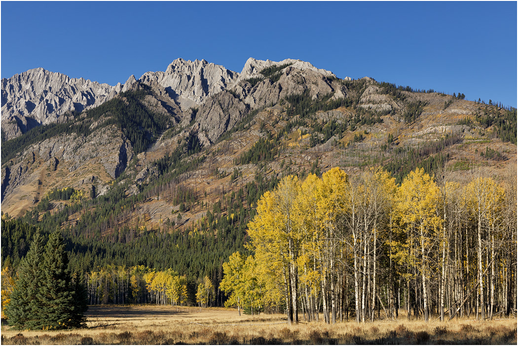 The Massive Range from Hillsdale Meadows, Banff NP
