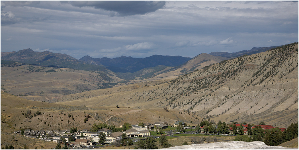 Mammoth from Minerva Terrace, Yellowstone NP