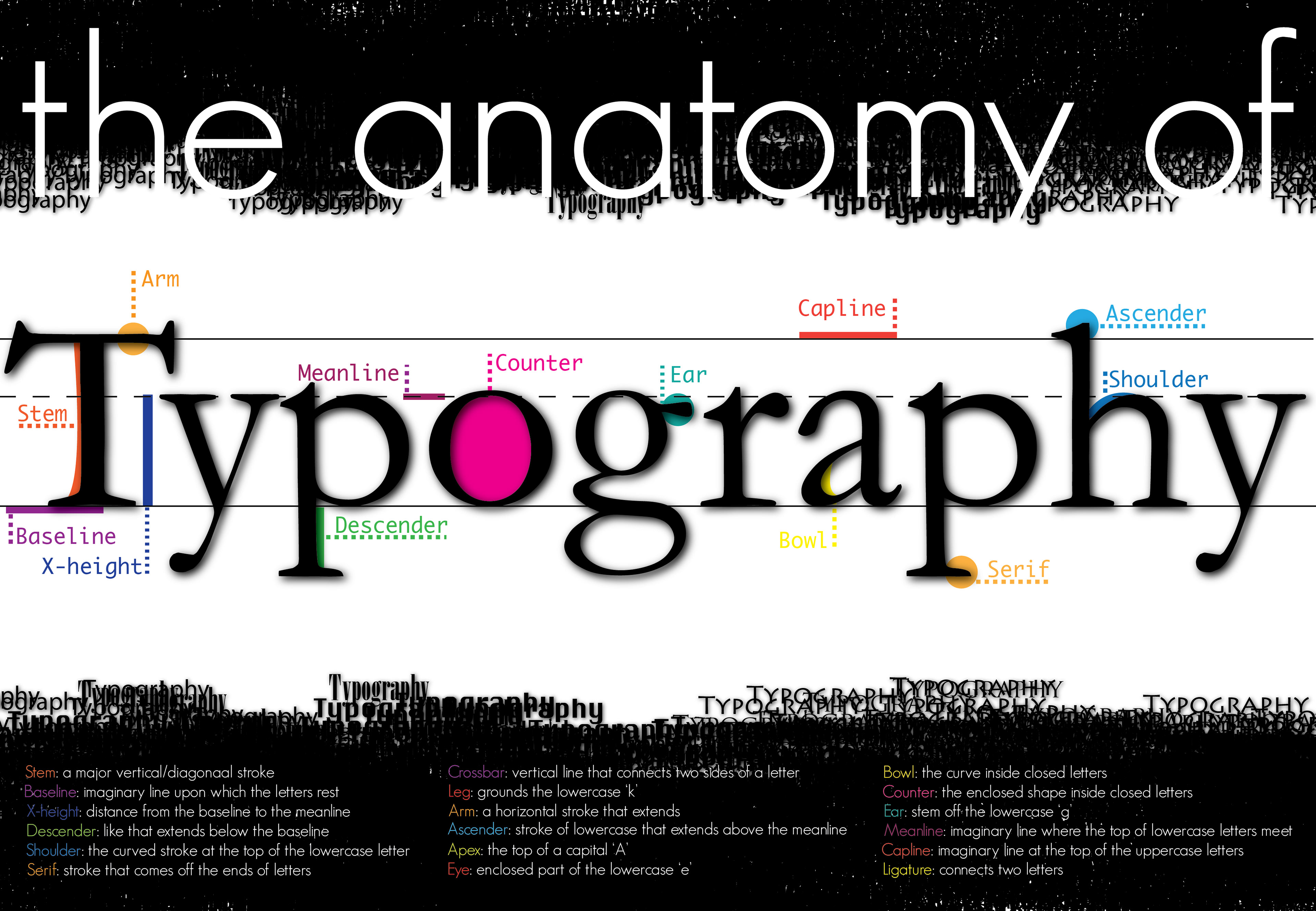 meg thurman graphic designer