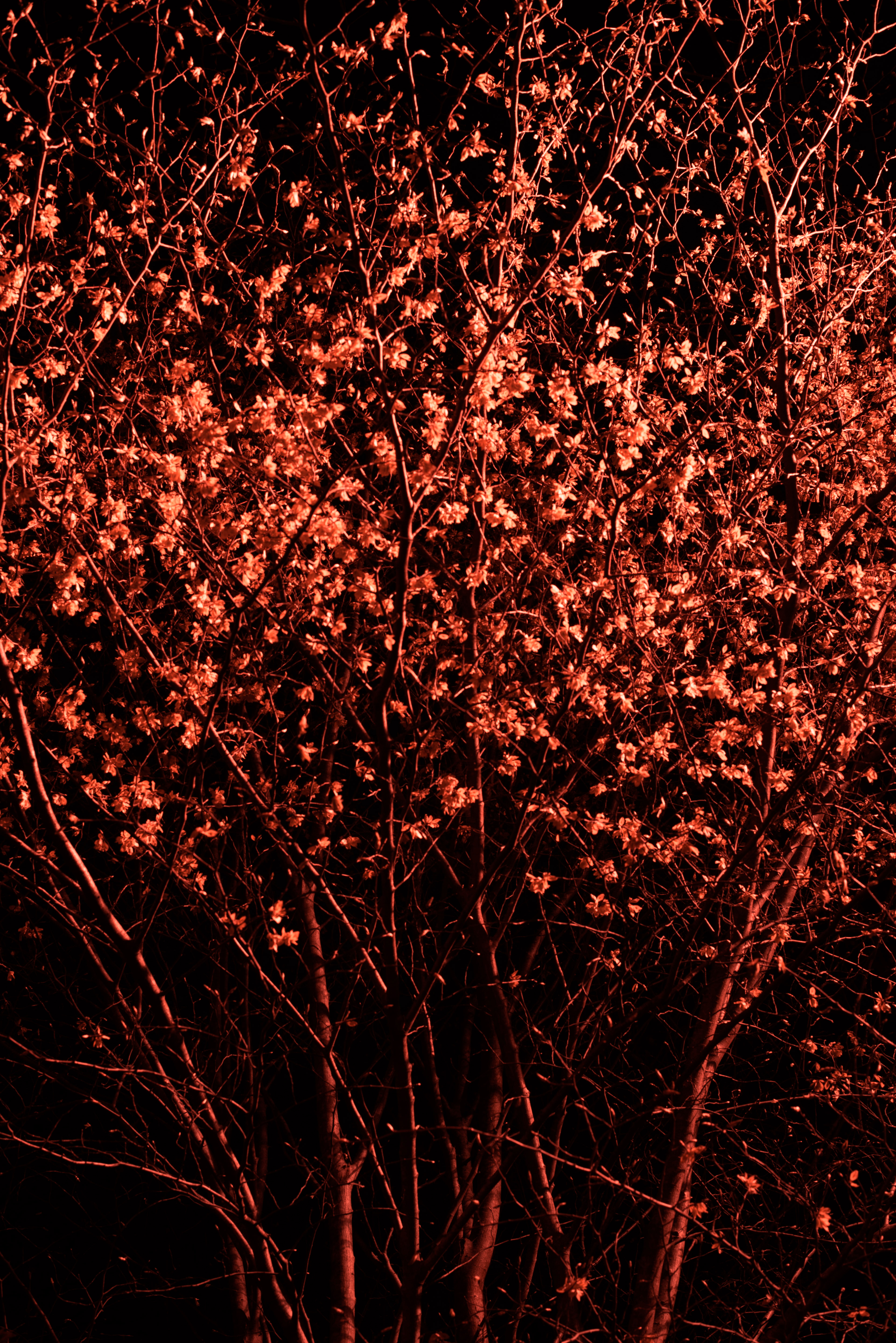 18/04/19