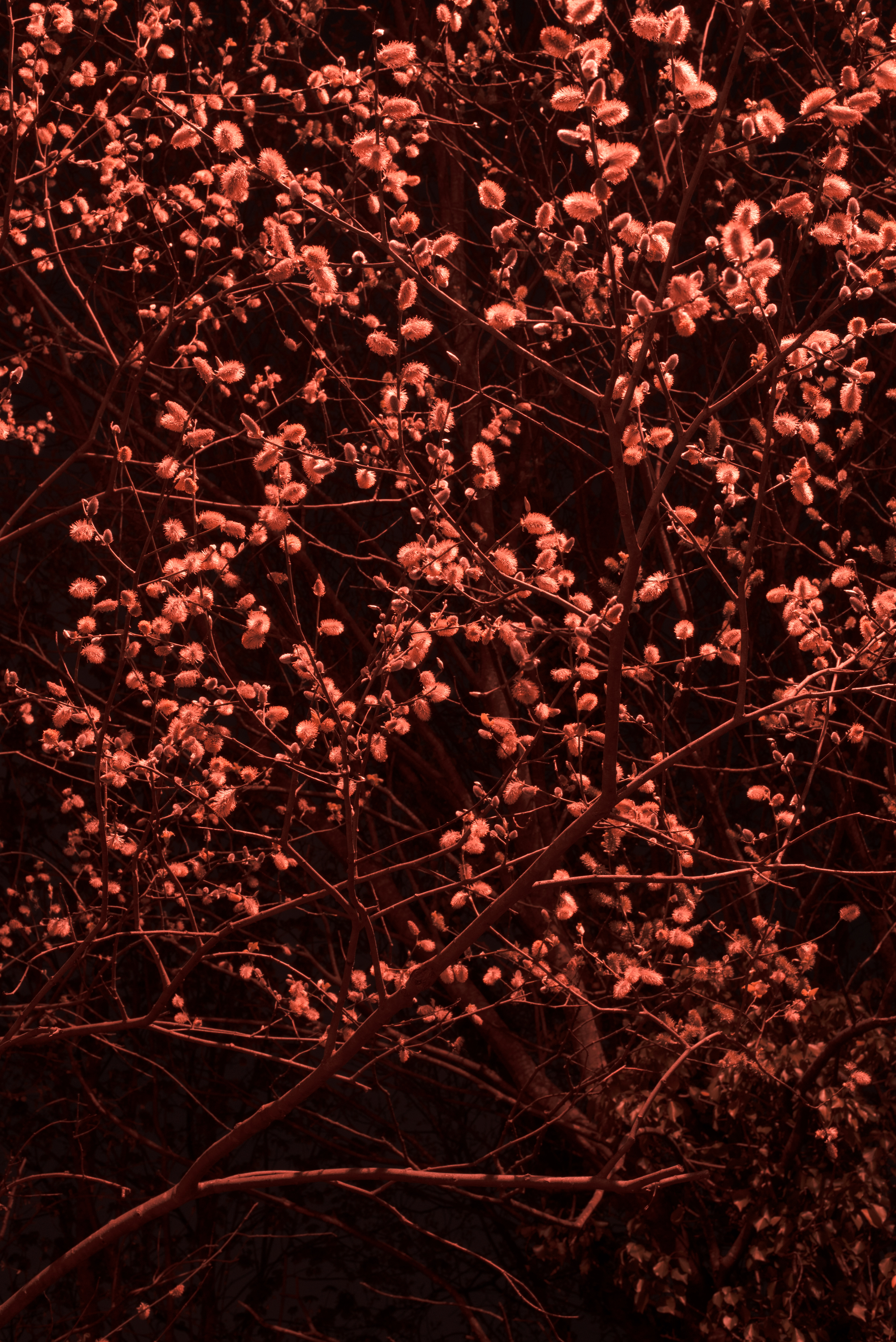 18/04/19