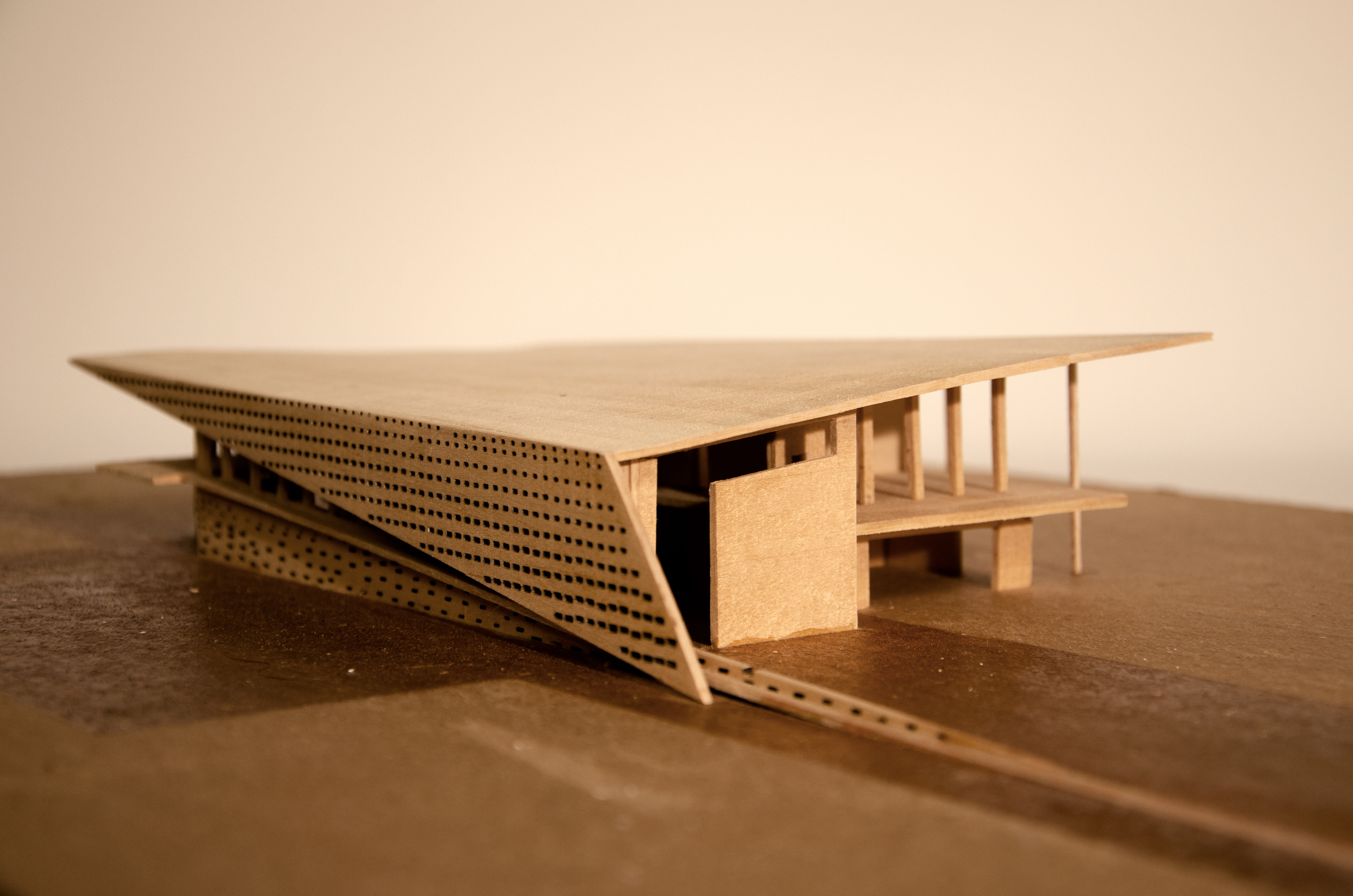 Wood Model