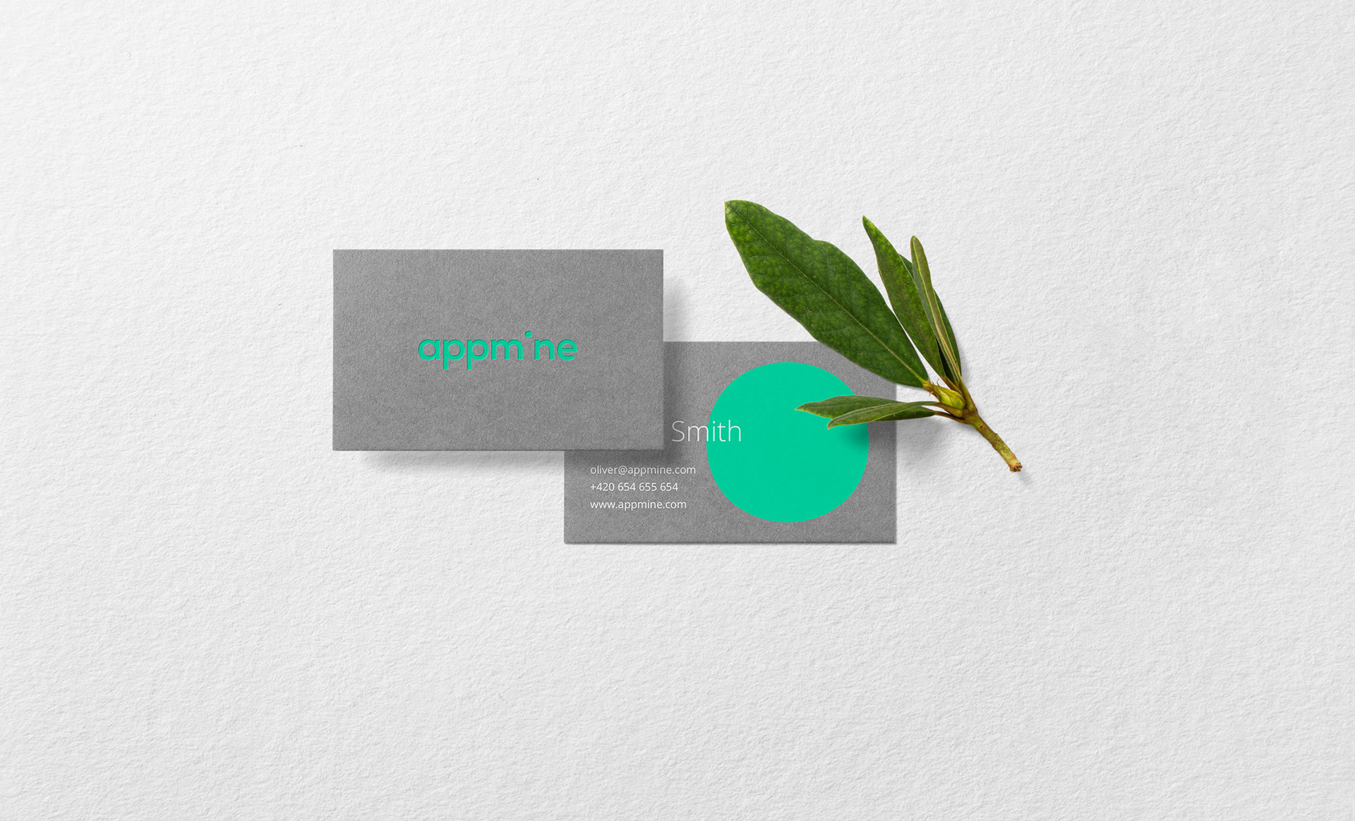 Andreea Bora design Appmine logo branding visual identity