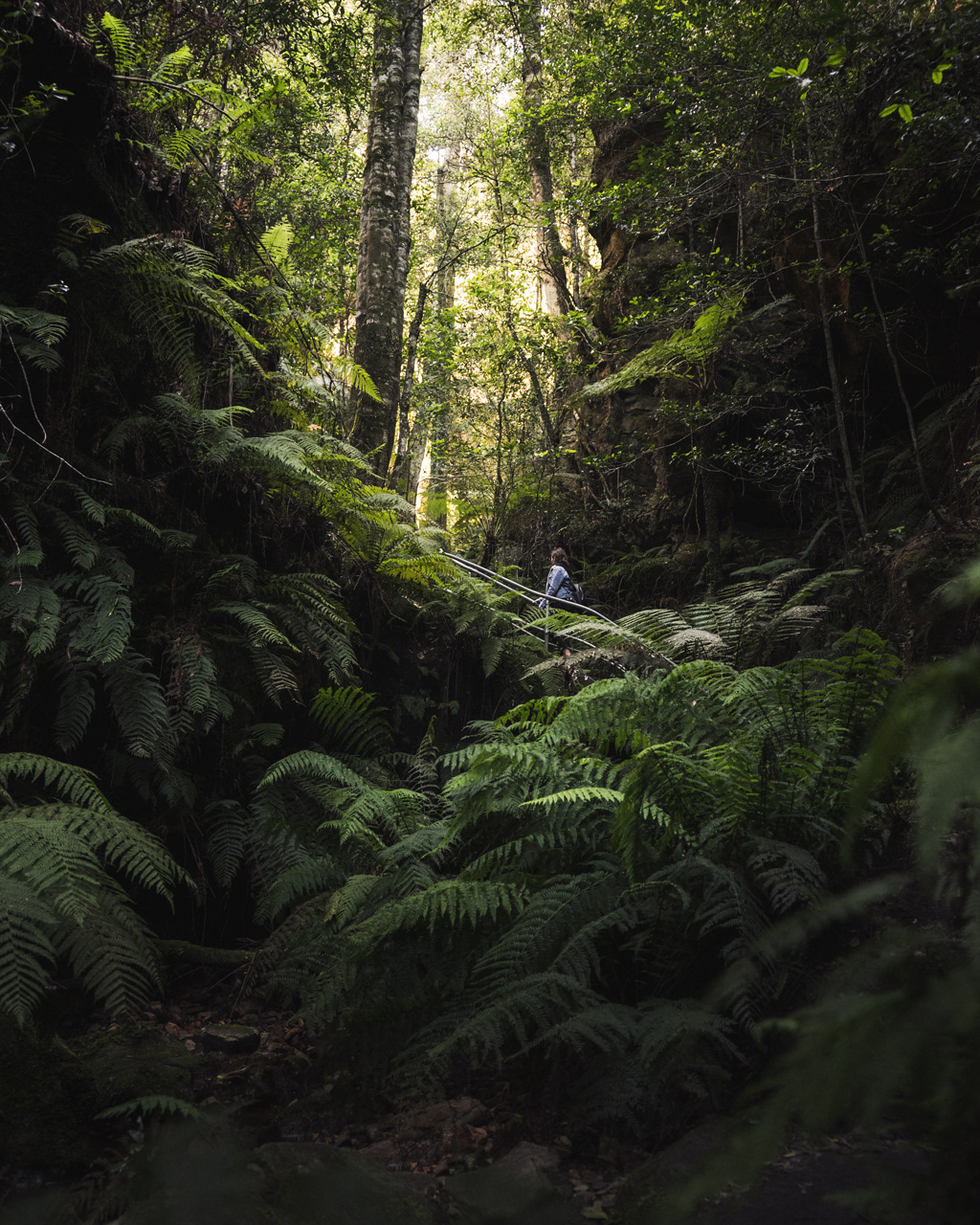 Grand Canyon Trail, Blue Mountains