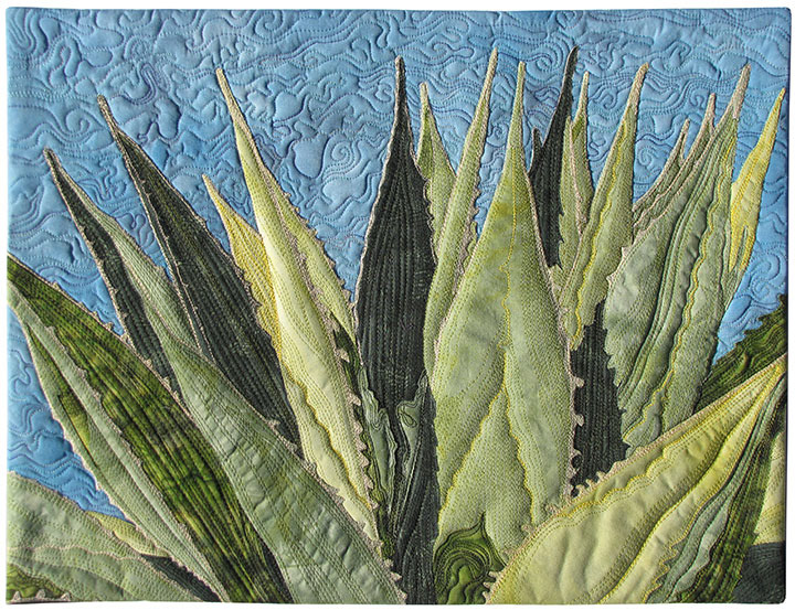 Agave Grande